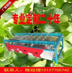 2019年新品红运选果机分选机百香果柠檬山竹李子土豆圣女果筛选机
