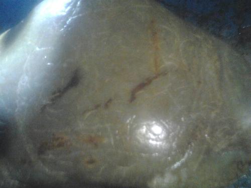 看看这块满满"指甲纹"的石头!重20多斤,石质大概是石英岩玉和黄蜡石!