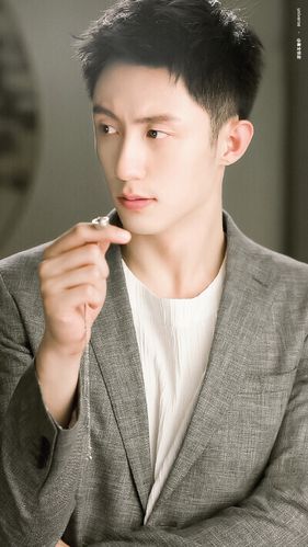 黄景瑜,1992年11月30日出生于辽宁省丹东市,中国内地影视男演员,模特.