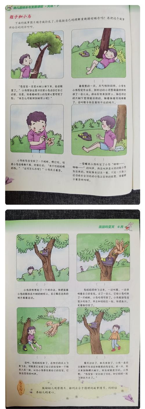 大班语言活动:排图讲述《鞋子和小鸟》