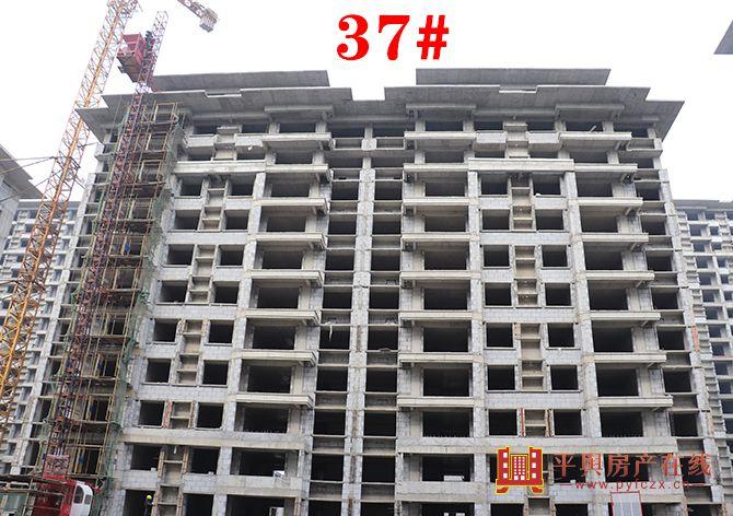 平舆房产【华鼎新天地】2019年12月最新工程进度播报