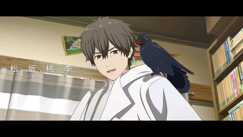 《你好世界》剧场版动画发布预告:十年后的我,教现在的我追女孩