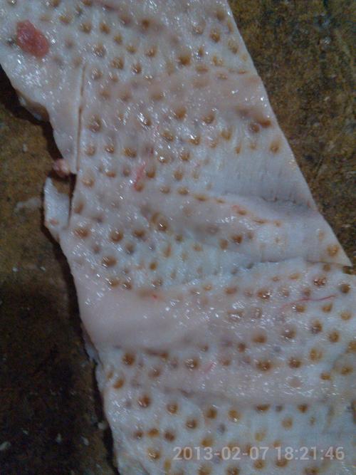 猪肉皮下密密麻麻的黑点,有点像脓包,请问是怎么回事啊?