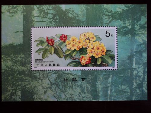 实物 邮票 小型张 正文  此主题相关图片如下: 此主题相关图片如下