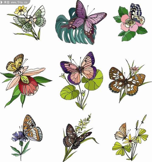 花和蝴蝶矢量素材cdr