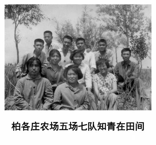 我们的青春3 ---唐山柏各庄农场知青风采