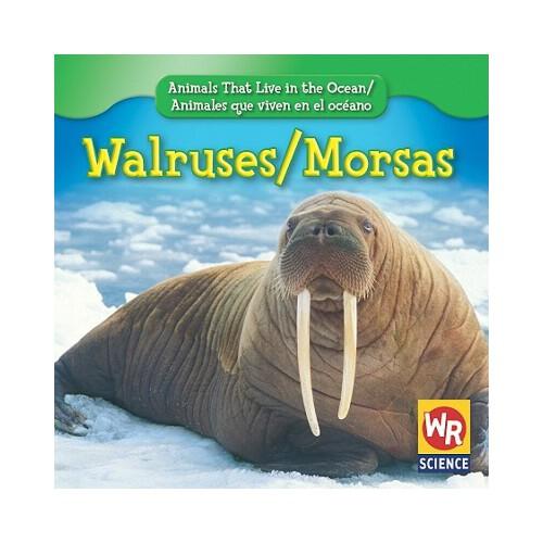 【预订】walruses/morsas 9780836895681