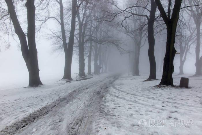 老公园在冬天天与雾