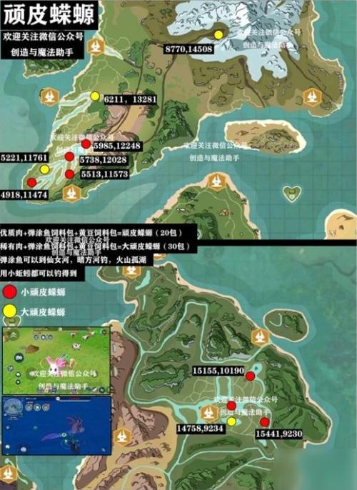 创造与魔法大蝾螈刷新位置