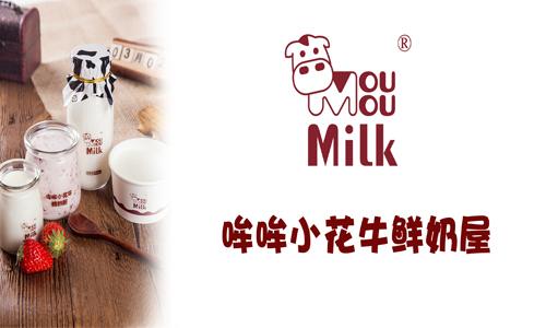 哞哞小花牛加盟