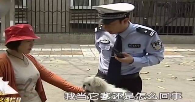 【谭谈交通】啥子啊?她要谭sir给这只狗狗当爹?