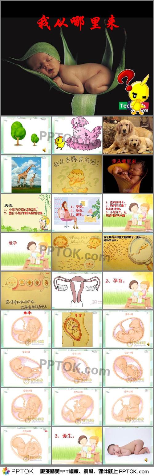 幼儿园《我从哪里来》ppt课件1