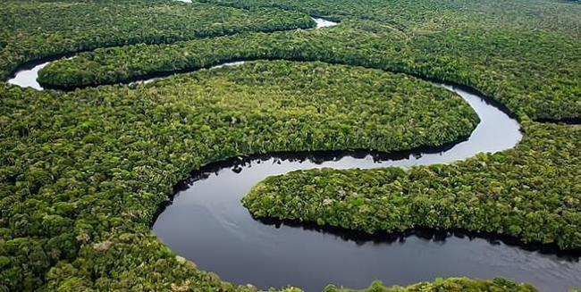 亚马逊热带雨林的产氧量供应了全球总氧气的十分之一,因此亚马逊热带