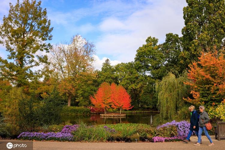 英式花园百科全书威斯利花园