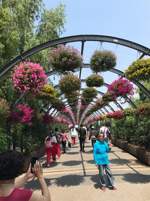 园艺廊架上的鲜花立体装饰