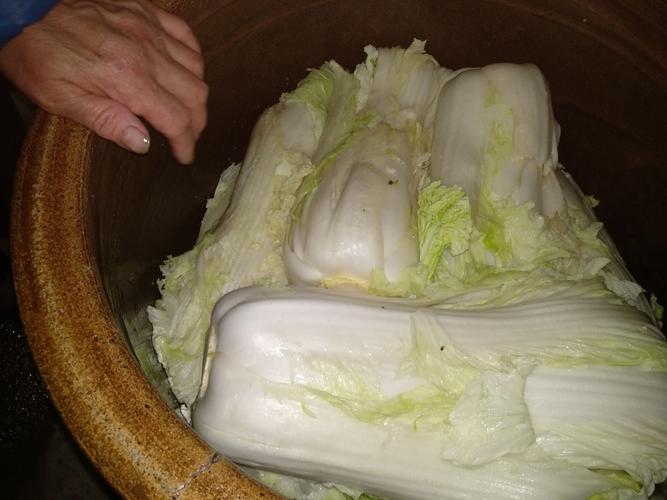 饭店十口大缸腌了一万多斤酸菜,全都快烂掉了,怎么办?
