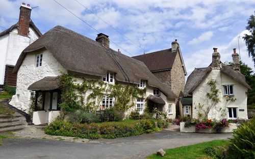 英国,房屋,devon,街道,建筑物,城市