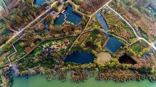图源:捞渔河湿地公园