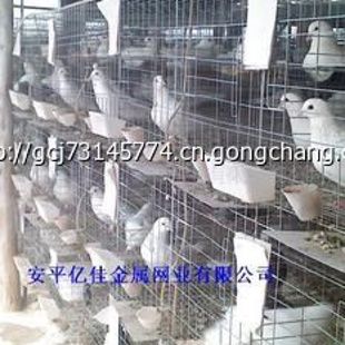 供应鸽笼 三层四门鸽笼 12笼位鸽笼 镀锌鸽笼