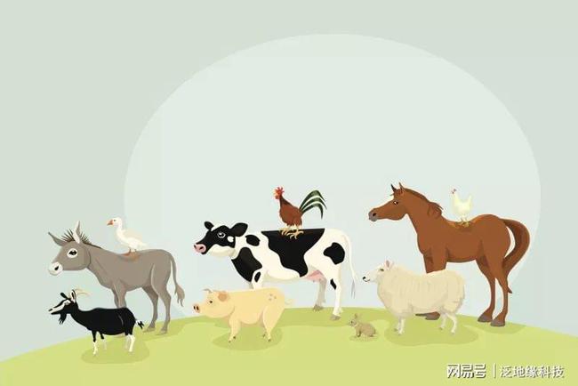 关于畜牧业你必须知道的一些事!