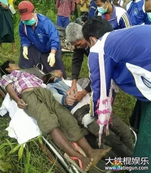 两男子吊死在一棵松树上,面对面死亡时手还紧紧相牵