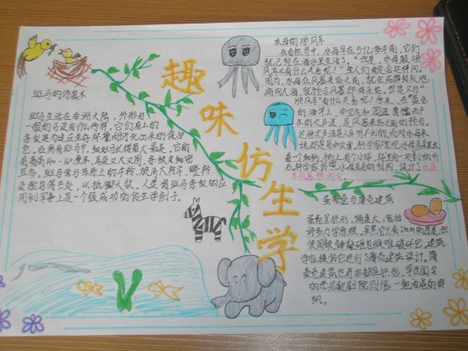 仿生学作业汇展