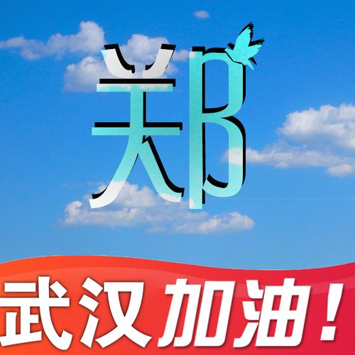 【编号b058】56张姓氏头像:武汉加油!