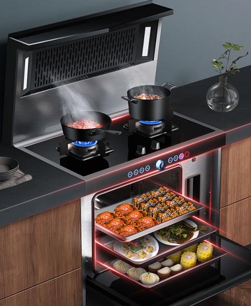 集成灶值得买吗集成灶蒸烤一体机最有潜力的五大品牌排行榜