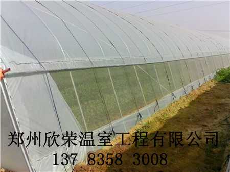 简易拱棚_郑州大棚建造技术洛阳简易拱棚骨架销售