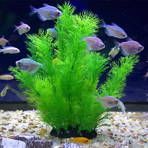 底砂锦鲤家用水草花园鱼缸海草花草人工鱼池绿色盆栽