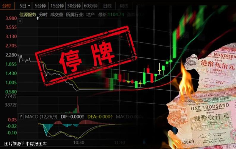 佳源系股价暴跌紧急停牌两上市平台一日内市值缩水超30亿港元丨公司