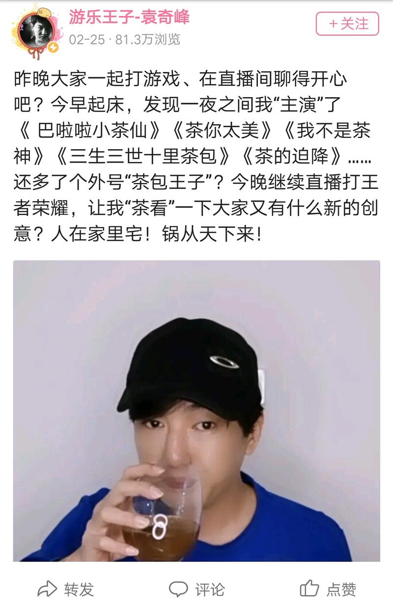 就茶包王子袁奇峰事件谈谈个人观点