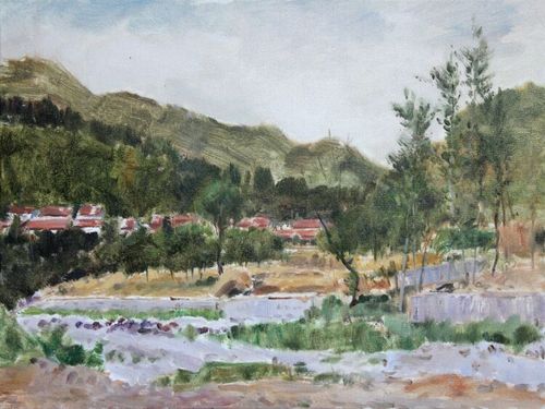辛建伟青州杨集写生作品