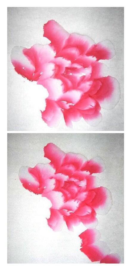 国画入门:牡丹花技法