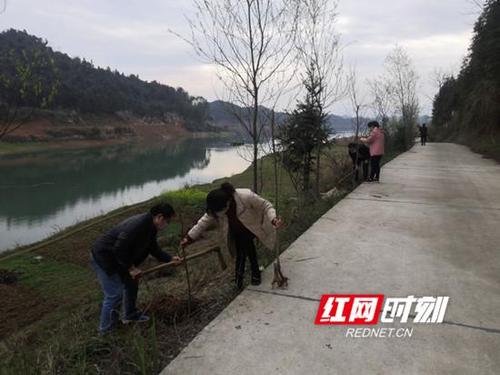 慈利县龙潭河镇中学:还"千岛"碧绿 建美好家园