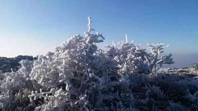 温州雪景美出天际 最惊艳的图都在这里!
