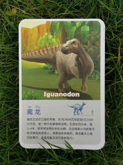 恐龙魔法卡片--禽龙