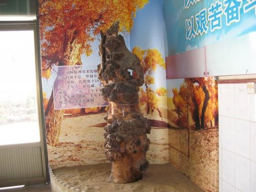 听陈文老师职业规划课