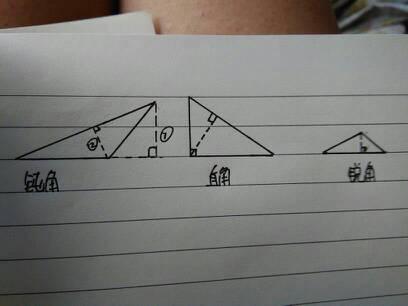 顿角三角形,直角三角形,锐角三角形,的三条高怎画