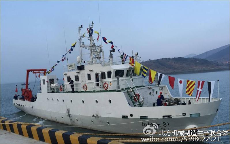 向阳红81号