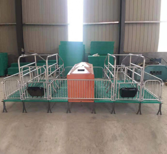 母猪产床尺寸结构