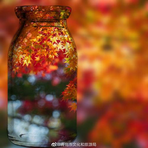 如果把秋天装进瓶子里