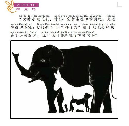 1月7日:考眼力,你能找出几种小动物呢?