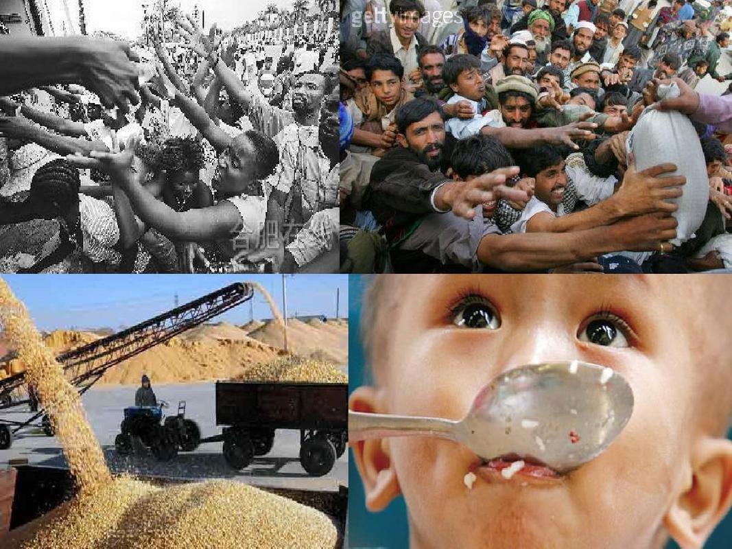 世界粮食危机ppt