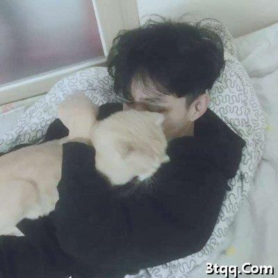 男生头像2019猫咪男生猫咪头像呆萌帅气