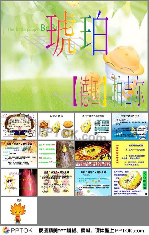 六下琥珀ppt