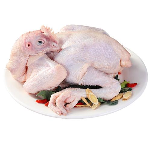 正宗土鸡三黄鸡新鲜鸡肉草鸡整只冷冻白条鸡非农村农家散养老母鸡