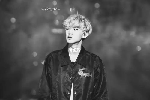 泡菜鱼电脑壁纸_壁纸_电脑_泡菜_朴灿烈_朴灿烈壁纸_素材_壁纸