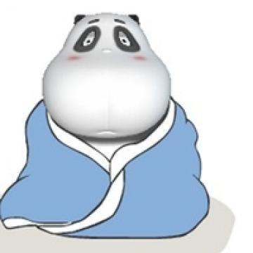 胖熊头像图片大全大图
