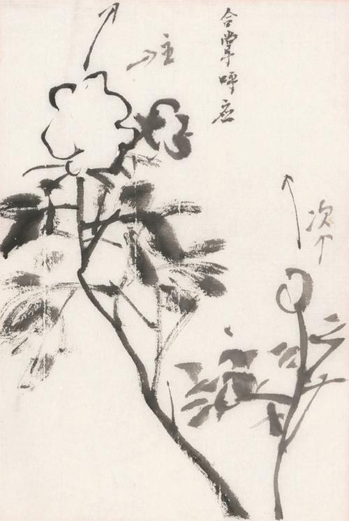 历代名画解析:跟着刘海勇研习中国花鸟画白描(上)